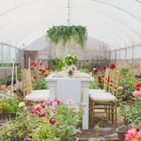 Gold Chiavari Chairs