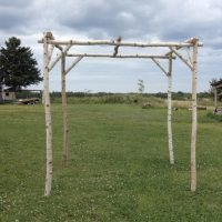 Birch Chuppah